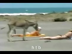 アナルセックスかわいこ ガリガリ 女 エ ...