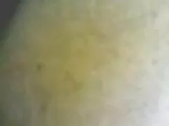 セックスポーカ スパイ エロ 動画