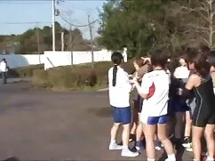 選抜自犬,ハンマーの二つのツママの全てが ...